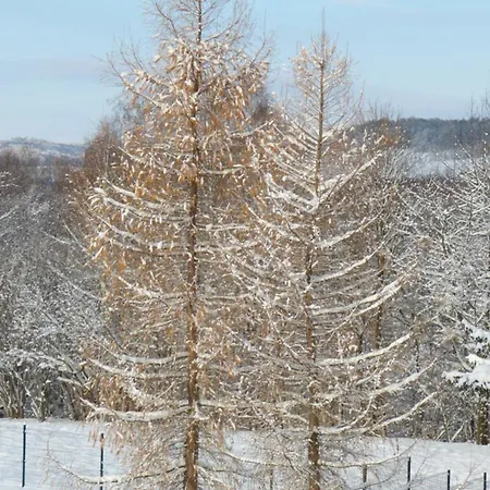 Kalinowe Ranczo 农家乐 *