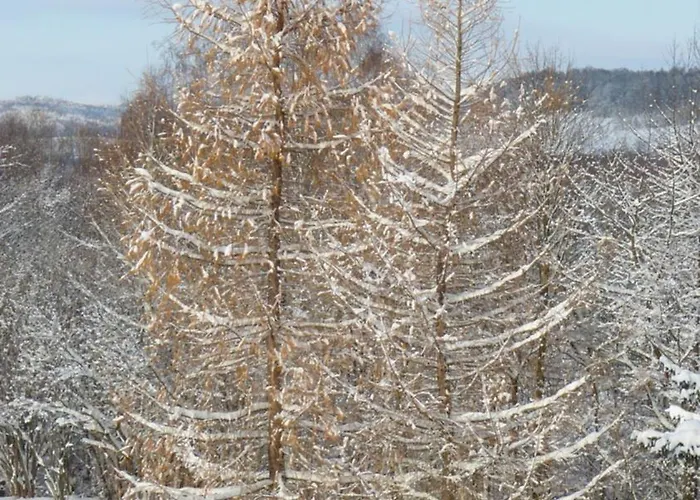 Kalinowe Ranczo Feriegård *